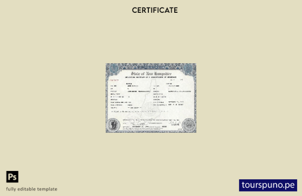 lista para imprimir plantilla de certificado de matrimonio de New Hampshire de E
